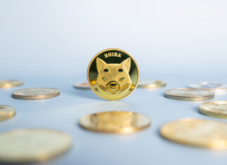 Shiba Inu’s whale buying intensifies but does price action show it?