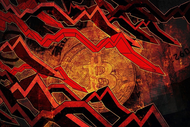 1674215352888-d0ce39ad-e6bf-4b26-adc5-d1f0f8c9bddb.jpg