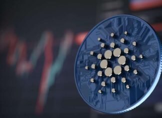 Cardano Up 30% Since December As 28 New Whales Hold At least 1 Million ADA