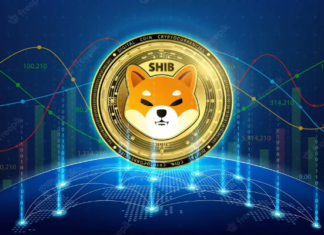Shiba Inu Shows Aggressiveness With 20% Jump In The Weekly Charts