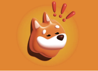 BONK Goes Bonkers With Over 200% Increase In Last 24 Hours