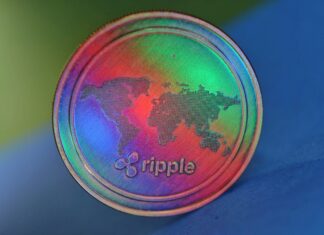 XRP Price Goes Upward With Increasing Whale Activity