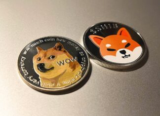 Shiba Inu Observes Highest Rise In Burn Rate