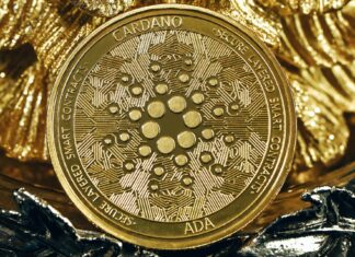 Cardano Leads Development With Unique Sidechains And Toolkits