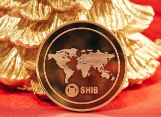 Next For Shiba Inu As Price Remains Stuck Below $0.000011?