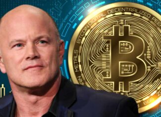 Mike Novogratz Says Bitcoin Could Return to $30,000 Next Month – Markets and Prices Bitcoin News