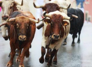 Next Crypto Bull Run Will Start From the East, Says Gemini Co-Founder – Markets and Prices Bitcoin News
