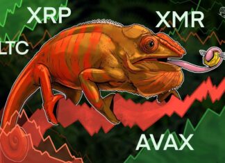 XRP, LTC, XMR and AVAX show bullish signs as Bitcoin battles to hold $28K