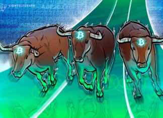 Banking crisis could spark the first ‘extended duration Bitcoin bull market,’ says Swan Bitcoin CEO