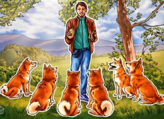 Will Shiba Inu tail Dogecoin’s price rally?