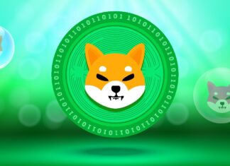 SHIB rallies after Shiba Inu introduces Shibacals