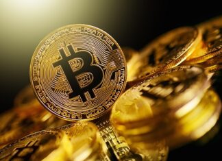Bitcoin dominance surging amid changing market dynamics and regulatory crackdown