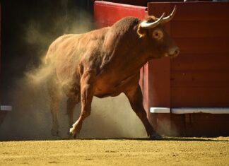 Bitcoin price outlook: Technical breakout suggests BTC rally to $34k