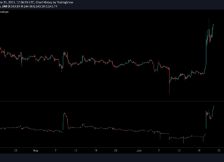 Bitcoin Cash Prices Spikes to Four-Month High; Open Interest Rises to 77%