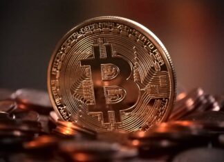 The Growth of Crypto Being Used in Online Casinos