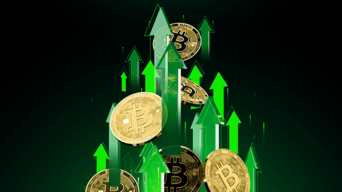 Bitcoin-12.png