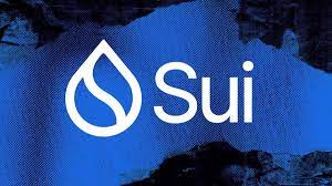 SUI-Network.jpeg