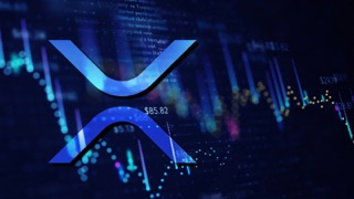 XRP-Small.jpeg