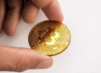Crypto’s Latest Trend: Exchanging Influencers as Trading Cards