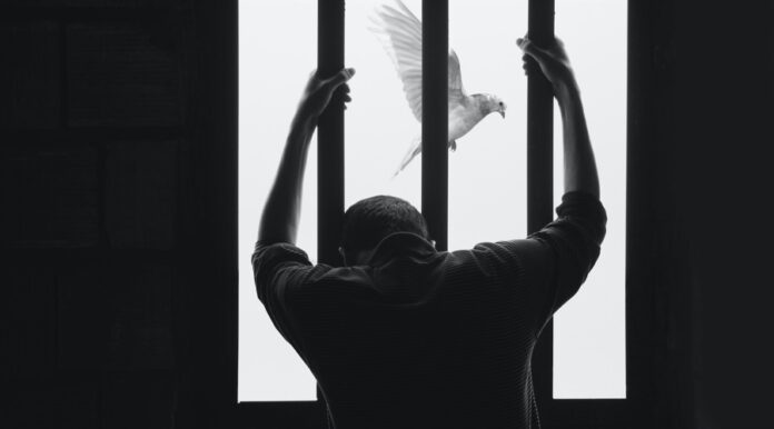 Prison_id_595c2c6c-6861-4ac3-a649-4d5199c9df62_size900.jpg