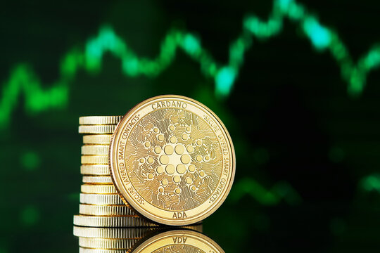 Cardano-from-Adobe-Stock-3.jpg