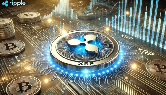 XRP-1-1.jpeg