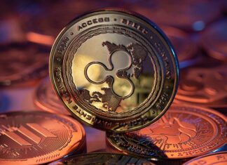 XRP News: Ripple Token Jumps 12% as Co-Founder Reemerges After 14 Years