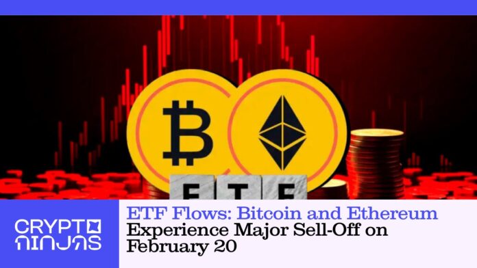 etf-flows-bitcoin-and-ethereum-experience-major-sell-off-on-february-20.jpg
