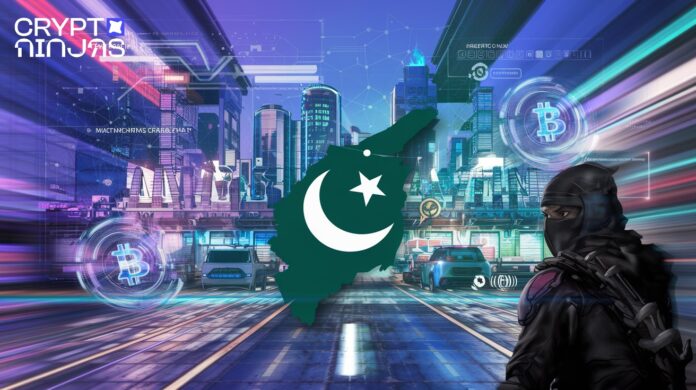 In-the-center-Pakistan-is-depicted-in-a-dramatic…-1.jpeg