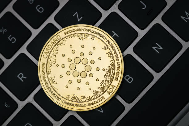 Cardano-from-iStock-3.jpg