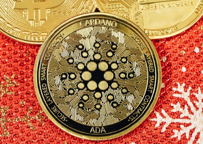Cardano-from-Unsplash.jpeg
