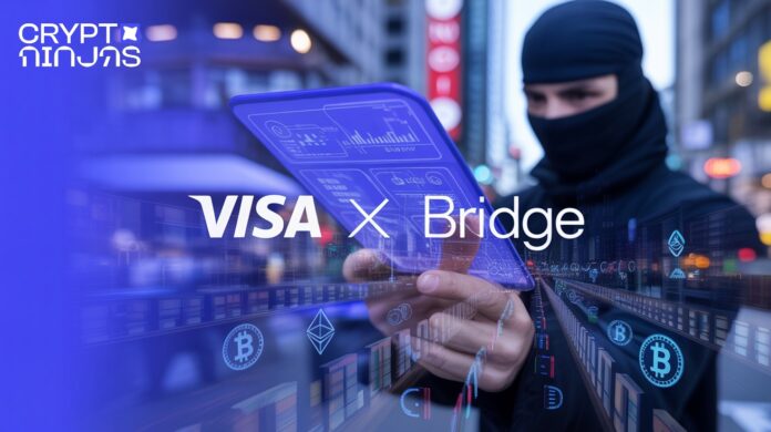 In-the-center-Visa-x-Bridge-is-depicted-in-a-dra….jpeg