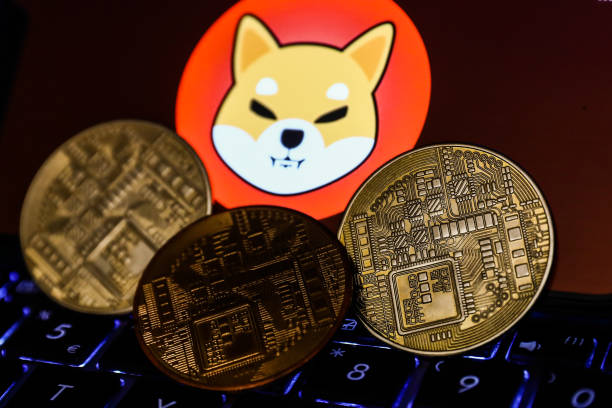 Shiba-Inu-from-Getty-Images.jpg