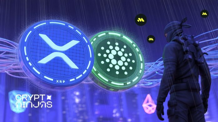 overview-of-remittix-presale.jpeg