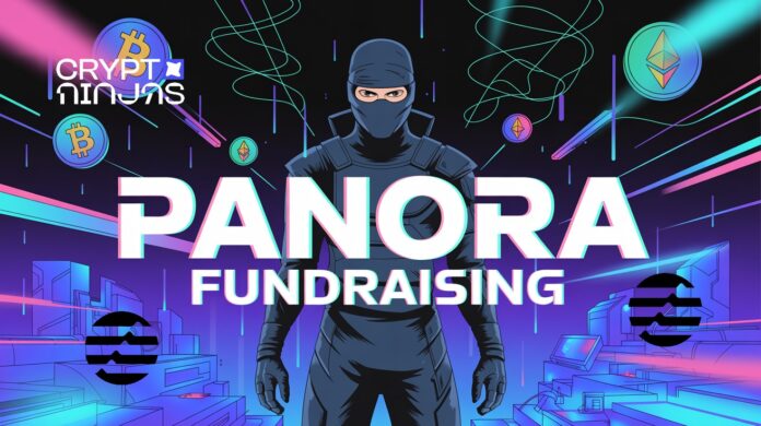 panora-successfully-raises-fresh-capital.jpeg