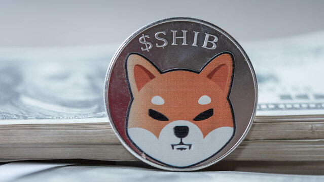 Shiba-Inu-from-Adobe-Stock-.jpg