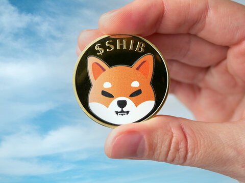 Shiba-Inu-from-Adobe-Stock-2.jpg