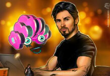 A Decentralized Privacy-Focused AI Network