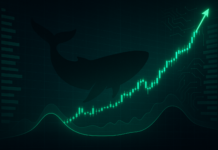 Market Maker Wintermute Turns Fully Bullish