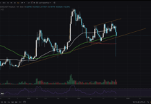 DOGE Price Breaks Key Support: Is Alt Run No More?