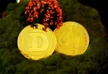 Dogecoin Whales Quietly Accumulate 327 Million Coins — What’s Coming Next?