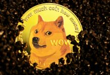 Dogecoin Ignites — 60% Volume Boom Teases Potential Rally