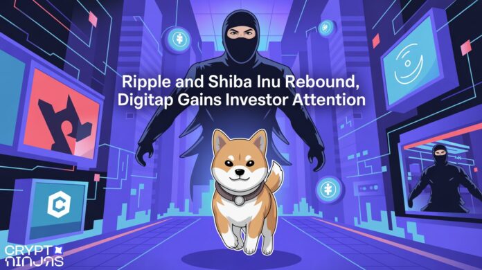 digitap-ripple-shiba.jpg