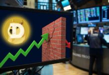 Dogecoin (DOGE) Slow Bleed Continues, Key $0.10 Support Comes Into Focus