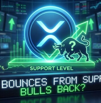 XRP Price Climbs to $1.60 — Downside Seen Limited by Strong Support