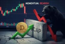 Dogecoin (DOGE) Stages A Recovery Attempt After A Brutal Selloff