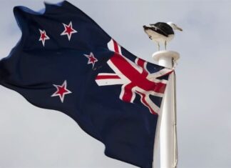 New Zealand Regulator Rules NZDD Stablecoin, Citing “Not a Financial Product”