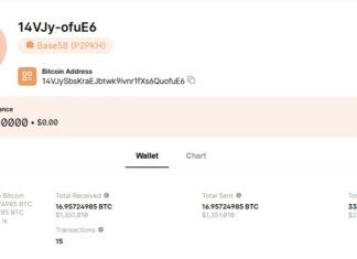 This Bitcoiner Claims Claude AI Helped Recover 5 BTC Dormant Since 2015, Reopening Lost-Supply Question