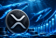 XRP Whales Hold Most Tokens Since 2018 As Price Eyes $1.50