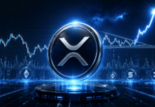 Analyst Maps XRP’s Path To 31% Of The Entire Crypto Market